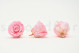 A Box Containing 8 Extra Large Preserved Rose Heads in Bridal Pink From Kiara