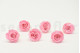 A Box Containing 8 Extra Large Preserved Rose Heads in Bridal Pink From Kiara
