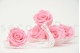 A Box Containing 8 Extra Large Preserved Rose Heads in Bridal Pink From Kiara