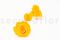 A Box Containing 6 Extra Large Sunny Yellow Eternal Rose Heads From Kiara