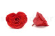 A Black Box With an Extra Large Vibrant Red Artificial Heart-Shaped Rose Made with Natural Preserved Petals
