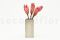 Large Box with 5 Stems of Pink Dried Protea Repens