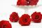 A Box Containing 8 Large Vibrant Red Eternal Rose Heads From Kiara