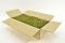 Preserved premium-quality green reindeer moss sold wholesale for plant walls