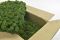 5 kg of Preserved Premium-QualityForest Green Reindeer Moss Sold Wholesale for Green Walls