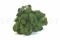 5 kg of Preserved Premium-QualityForest Green Reindeer Moss Sold Wholesale for Green Walls