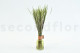 A Large Bunch of Dried Green Phleum Pratensis in a Sleave