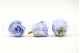A Box Containing 6 Extra Large Cool Lavender Eternal Rose Heads From Kiara
