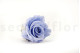 A Box Containing 6 Extra Large Cool Lavender Eternal Rose Heads From Kiara