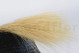 A bouquet of dried cream-colored barba, with and without packaging