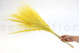 A bouquet of yellow dried barba, with and without packaging
