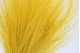 A bouquet of yellow dried barba, with and without packaging