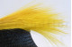 A bouquet of yellow dried barba, with and without packaging