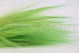 A bouquet of green dried barba, with and without packaging