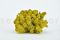 Preserved Premium-Quality Yelow Reindeer Moss Sold Wholesale for Green Walls