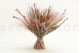 A bouquet of red dried barba, with and without packaging