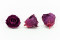 A Box Containing 6 Extra Large Preserved Rose Heads in Velvet Plum From Kiara