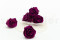 A Box Containing 6 Extra Large Preserved Rose Heads in Velvet Plum From Kiara