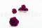 A Box Containing 6 Extra Large Preserved Rose Heads in Velvet Plum From Kiara