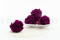 A Box Containing 6 Extra Large Preserved Rose Heads in Velvet Plum From Kiara