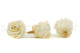 A Box Containing 6 Extra Large Pearl White Eternal Rose Heads From Kiara
