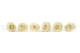A Box Containing 6 Extra Large Pearl White Eternal Rose Heads From Kiara