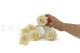 A Box Containing 6 Extra Large Pearl White Eternal Rose Heads From Kiara