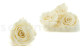 A Box Containing 6 Extra Large Pearl White Eternal Rose Heads From Kiara