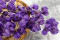 A bouquet of dried purple bougainvillea