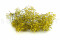 Yellow Gypsophila Packaged in a Bunch and Delicately Preserved to Last for Years