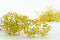 Yellow Gypsophila Packaged in a Bunch and Delicately Preserved to Last for Years