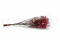 Red Gypsophila Packaged in a Bunch and Delicately Preserved to Last for Years