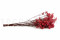 Red Gypsophila Packaged in a Bunch and Delicately Preserved to Last for Years