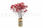 Red Gypsophila Packaged in a Bunch and Delicately Preserved to Last for Years