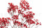 Red Gypsophila Packaged in a Bunch and Delicately Preserved to Last for Years