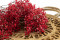 Red Gypsophila Packaged in a Bunch and Delicately Preserved to Last for Years