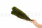 A Bunch of Green Lanuginosa Delicately Preserved to Last Forever