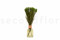 A Bunch of Green Lanuginosa Delicately Preserved to Last Forever