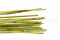 Large Box with 20 Stems of Green Dried Elephant Reed