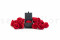 An Elegant Black Box Filled With One Red Eternal Rose