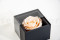 An elegant black box filled with one big preserved pink rose