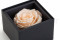 An elegant black box filled with one big preserved pink rose