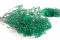 Turquoise Gypsophila Packaged in a Bunch and Delicately Preserved to Last for Years