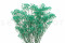 Turquoise Gypsophila Packaged in a Bunch and Delicately Preserved to Last for Years