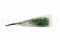 Green Gypsophila Packaged in a Bunch and Delicately Preserved to Last for Years