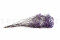 Lavender Gypsophila Packaged in a Bunch and Delicately Preserved to Last for Years