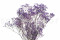 Lavender Gypsophila Packaged in a Bunch and Delicately Preserved to Last for Years