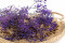 Lavender Gypsophila Packaged in a Bunch and Delicately Preserved to Last for Years