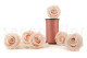 A Box Containing 6 Extra Large Pink Blush Eternal Rose Heads From Kiara
