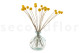 A bouquet of dried yellow craspedia, also known as billy ball